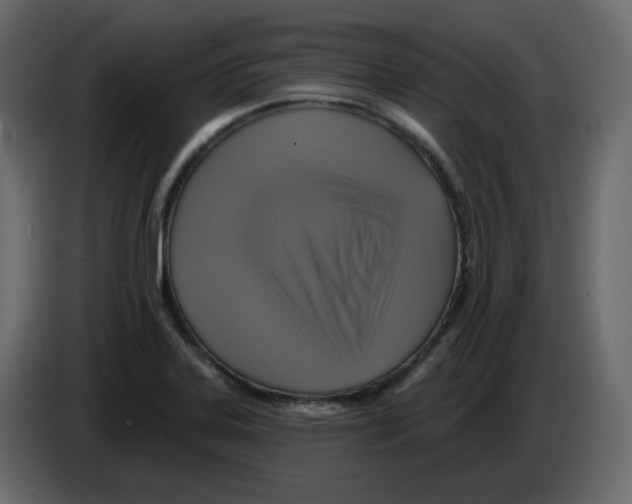 X0000084541323200703231706