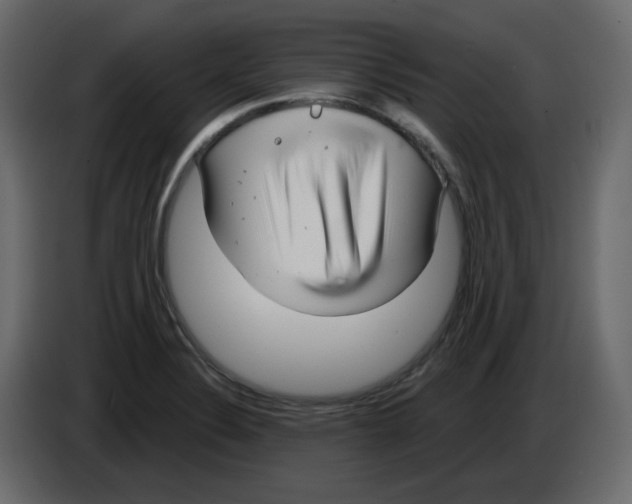 X0000084541324200703231706