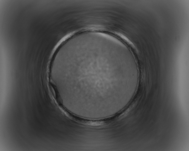 X0000084541325200703231706