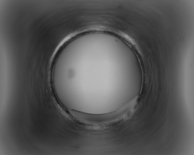 X0000084541326200703231706