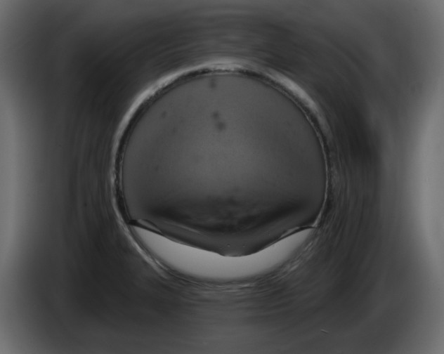 X0000084541327200703231706