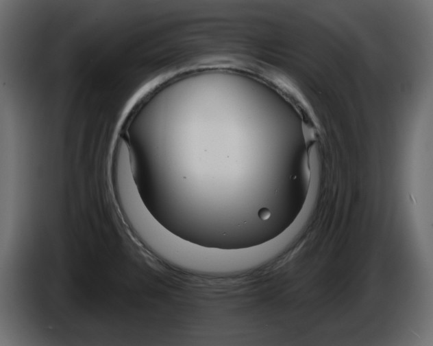 X0000084541328200703231706