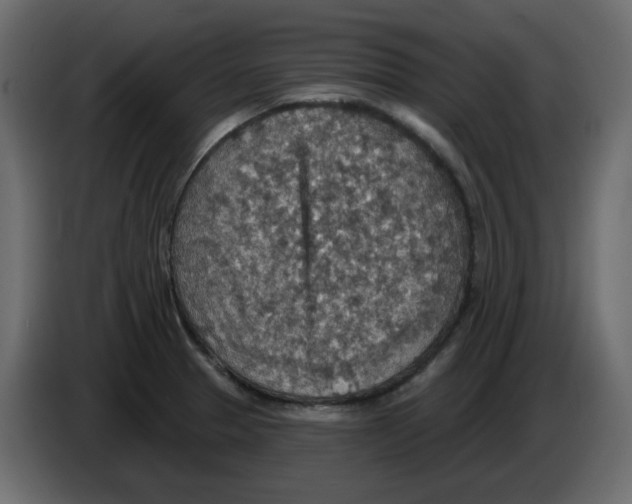 X0000084541329200703231706