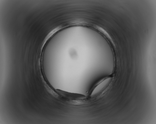 X0000084541330200703231706