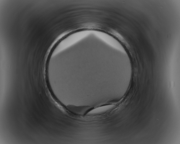 X0000084541331200703231706