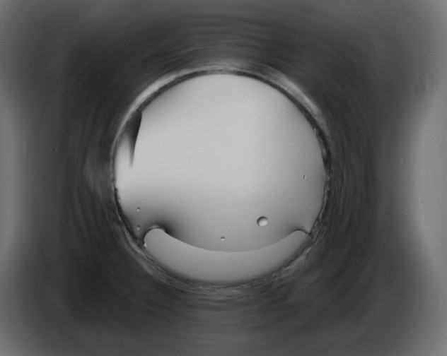 X0000084541332200703231706