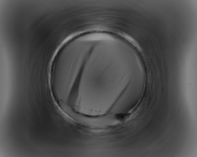 X0000084541334200703231706