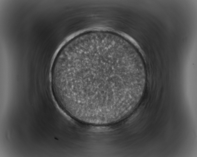 X0000084541335200703231706