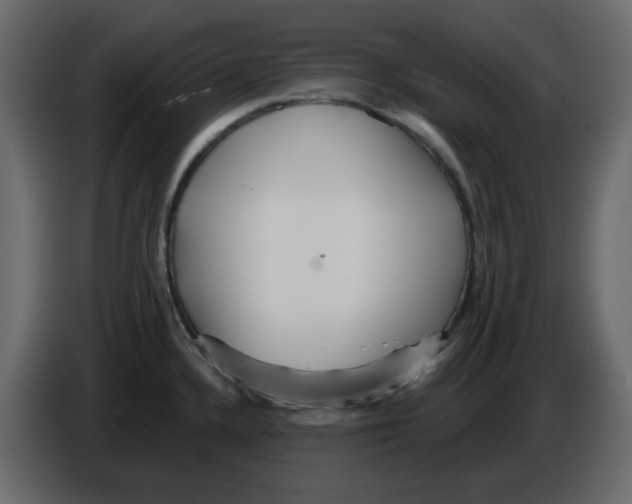 X0000084541336200703231706