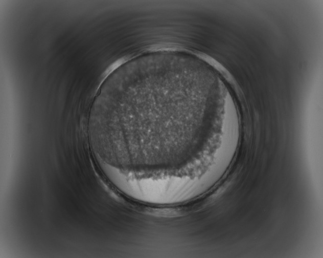 X0000084541337200703231706