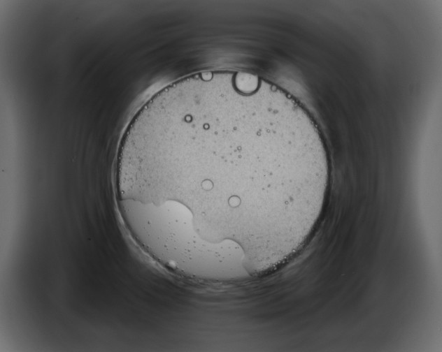 X0000084541338200703231706