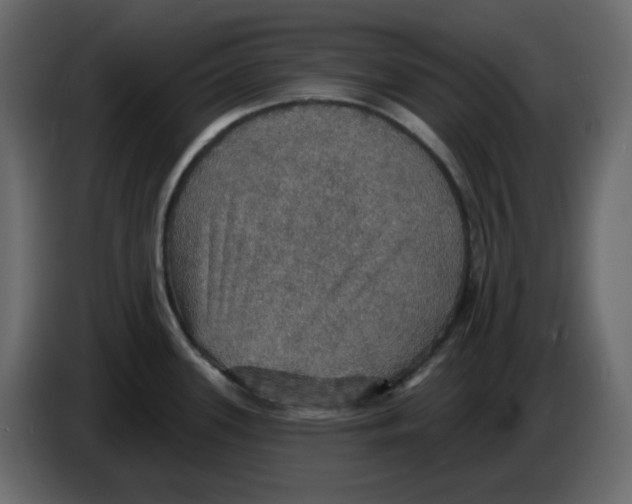 X0000084541339200703231706