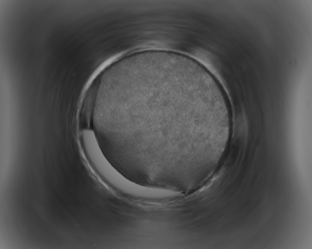 X0000084541341200703231706