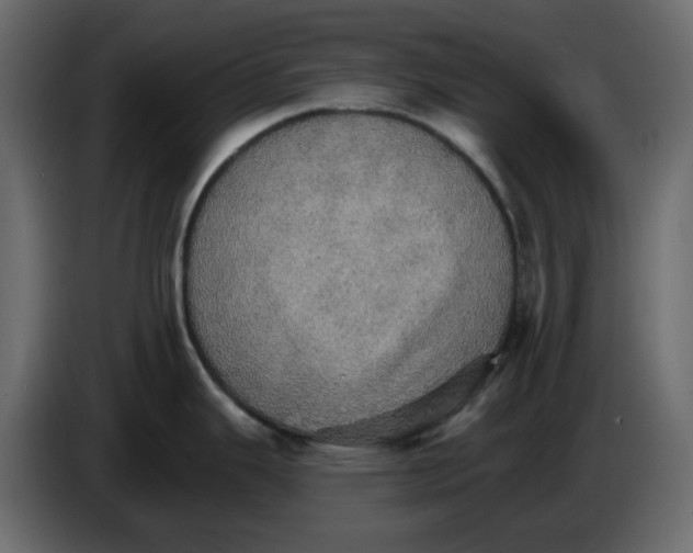 X0000084541343200703231706