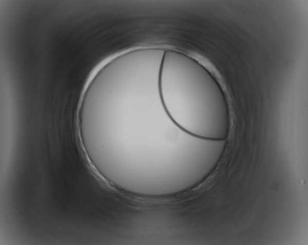 X0000084541344200703231706