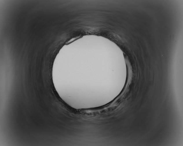 X0000084541345200703231705