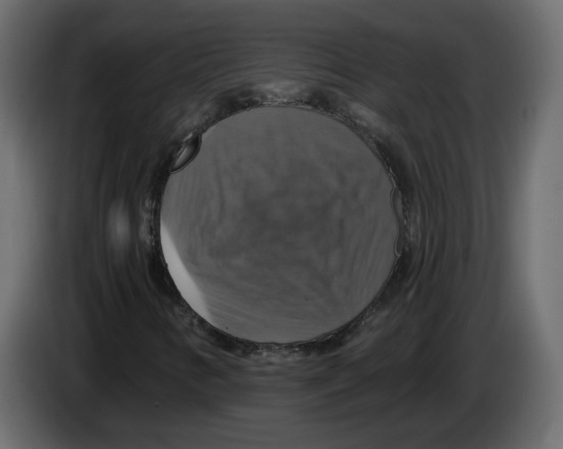 X0000084541346200703231705