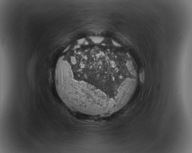 X0000084541347200703231705