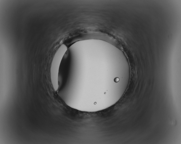 X0000084541349200703231705