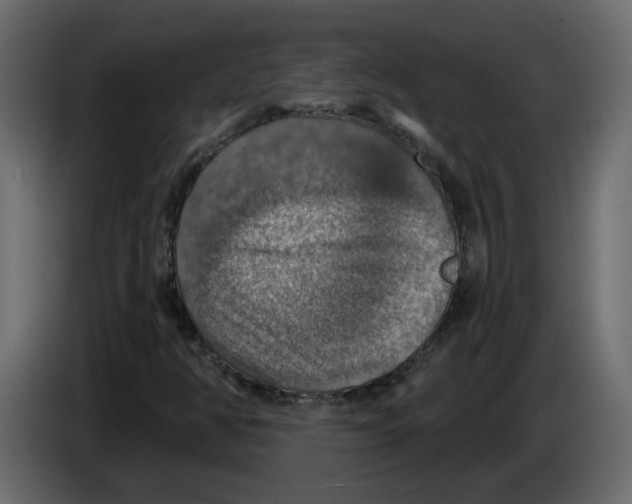 X0000084541350200703231705