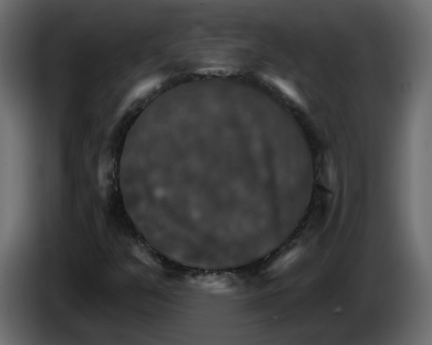 X0000084541351200703231705