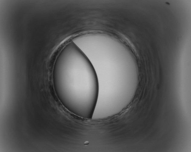 X0000084541352200703231705