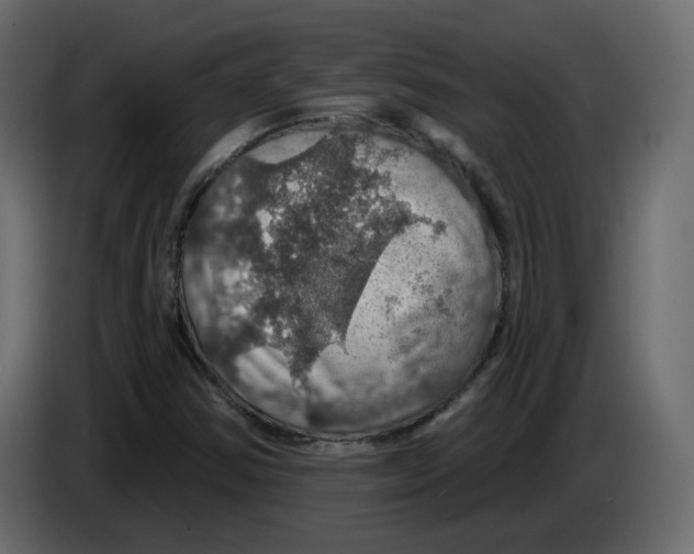 X0000084541354200703231705