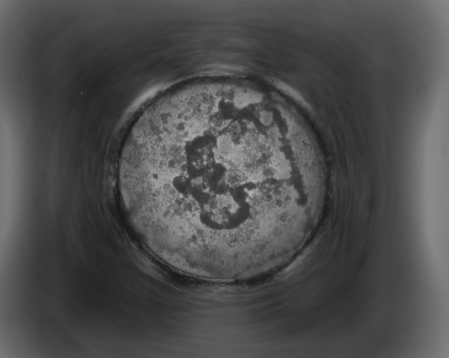 X0000084541355200703231705