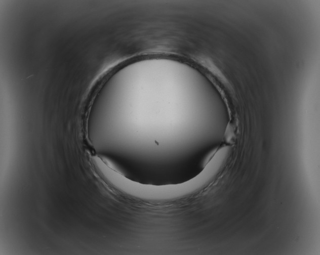 X0000084541356200703231705