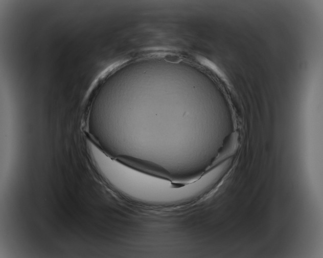 X0000084541357200703231705