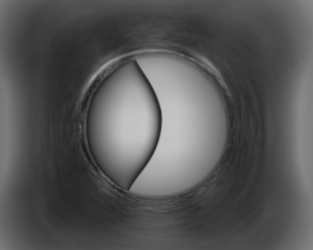 X0000084541360200703231705