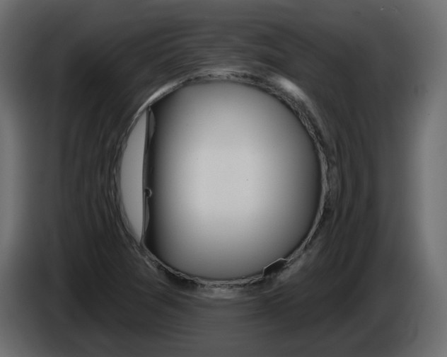 X0000084541361200703231705