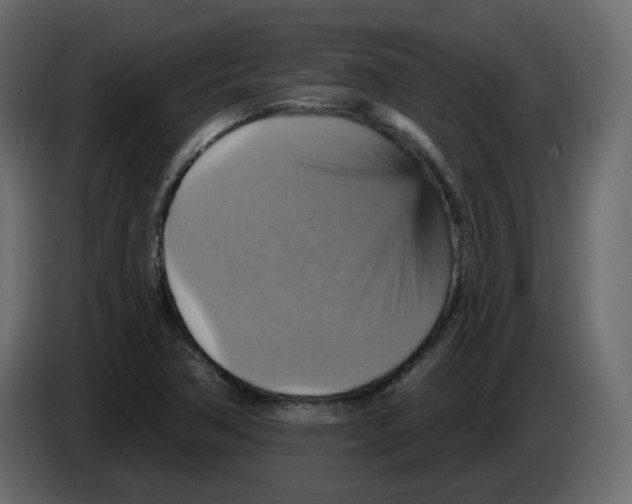 X0000084541362200703231705