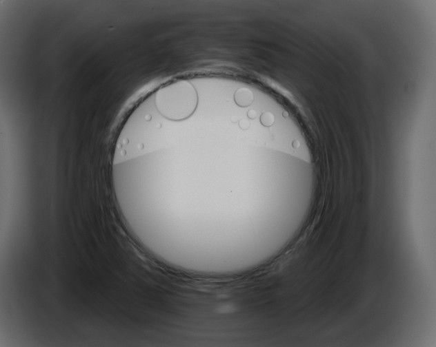 X0000084541363200703231705