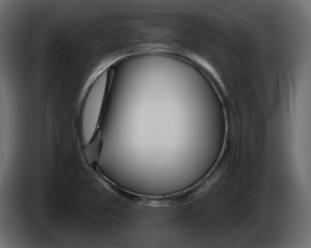 X0000084541365200703231705