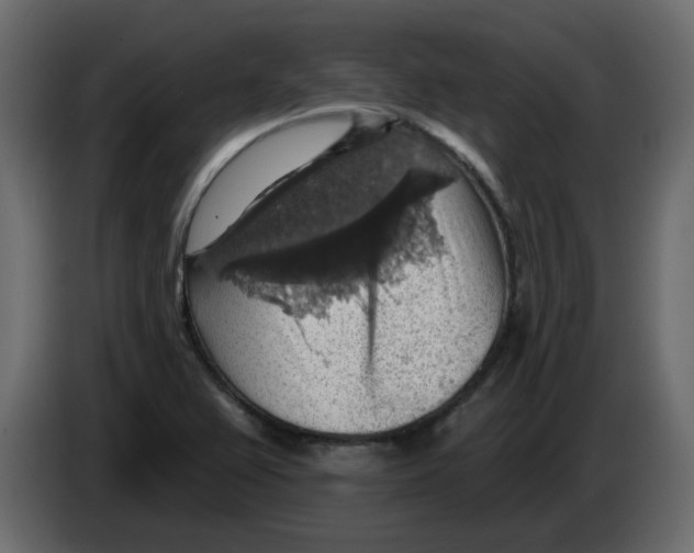 X0000084541367200703231705