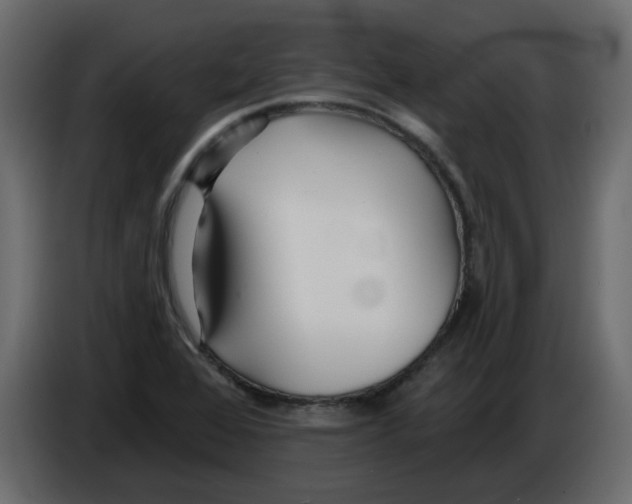 X0000084541368200703231705