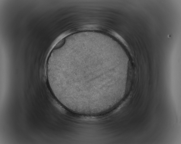 X0000084541370200703231705