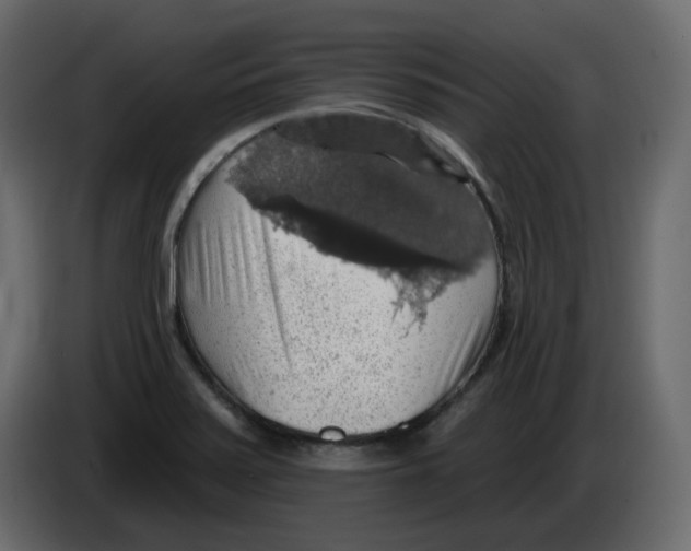 X0000084541371200703231705