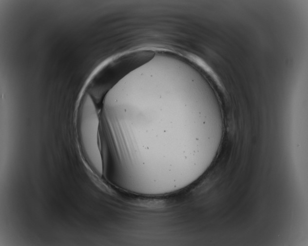 X0000084541372200703231705