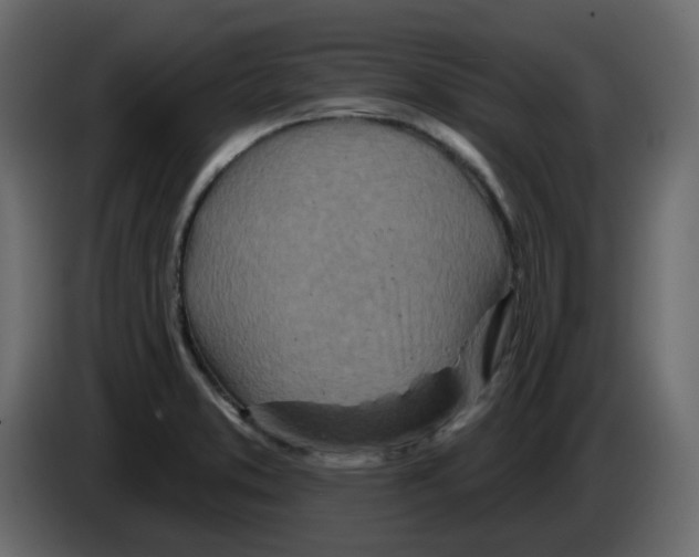 X0000084541373200703231705