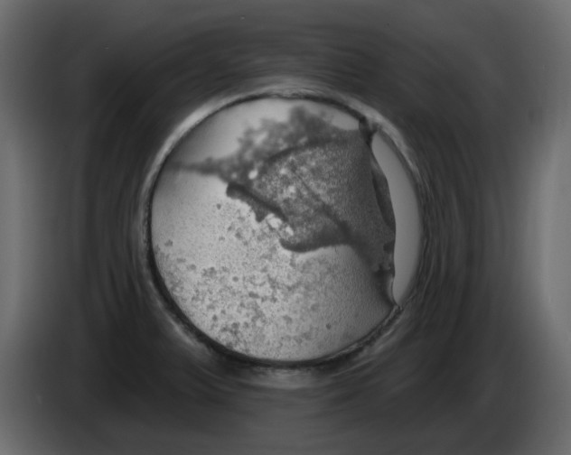 X0000084541375200703231705