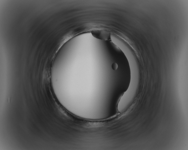 X0000084541377200703231705