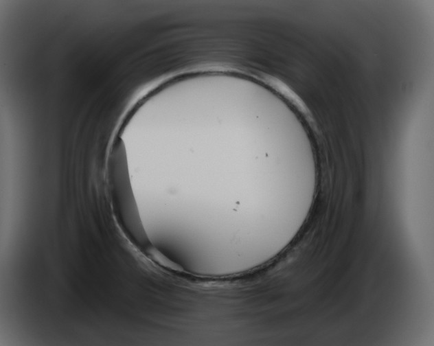 X0000084541380200703231705