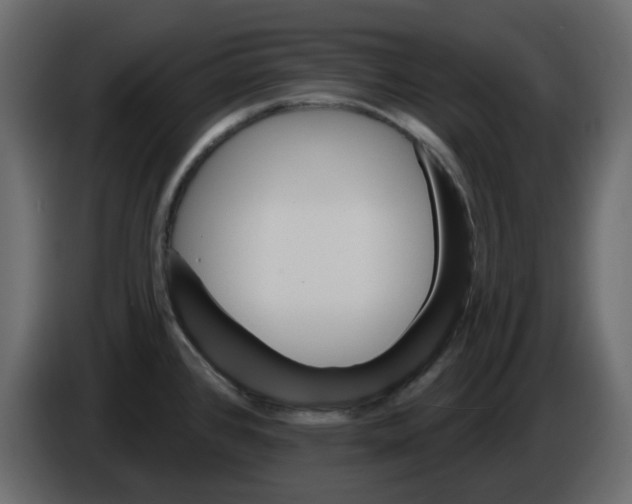 X0000084541384200703231705