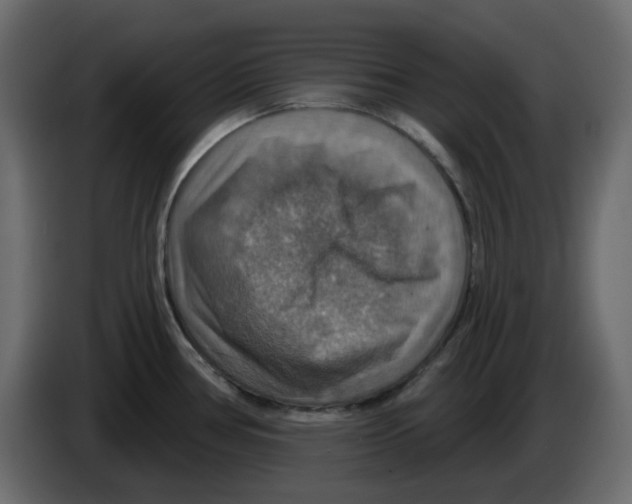 X0000084541386200703231705