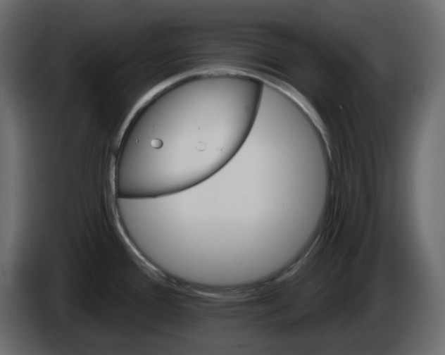 X0000084541388200703231705