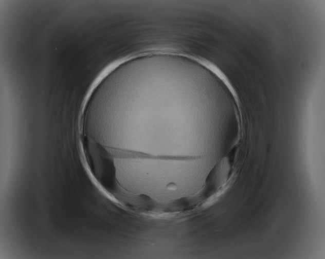 X0000084541389200703231705