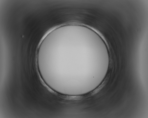 X0000084541390200703231705