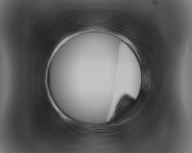 X0000084541391200703231705